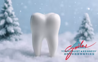 teeth model